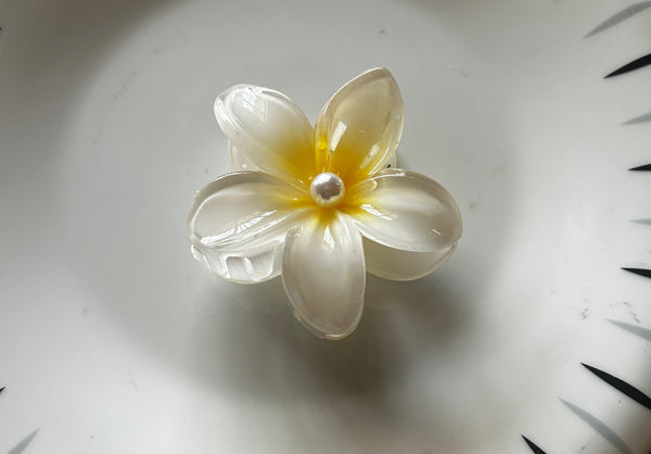 Elegant Decorative Hair Clip