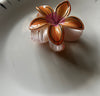 Elegant Decorative Hair Clip