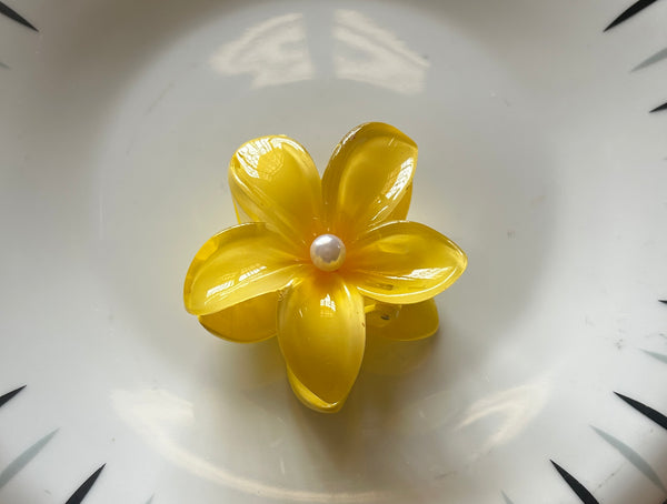 Elegant Decorative Hair Clip